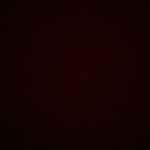 Meet your Posher, Paulina